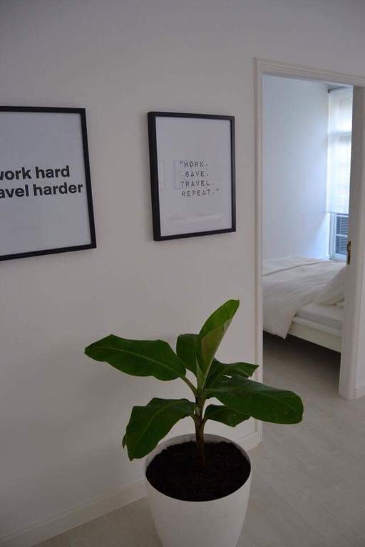 Charming Apartment 101 Funchal  Extérieur photo